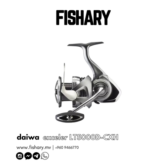 DAIWA EXCELER LT5000D-CXH REEL