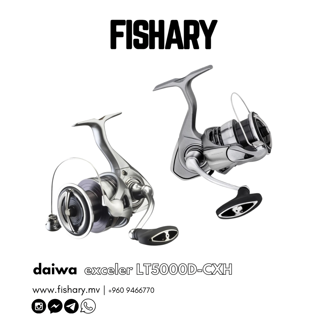 DAIWA EXCELER LT5000D-CXH REEL